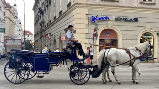 Wien und Wachau