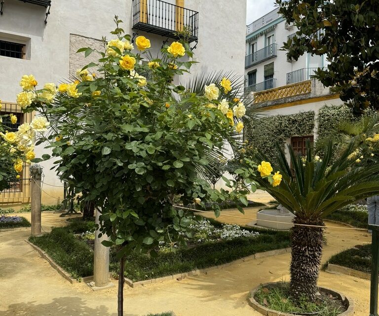Sevilla